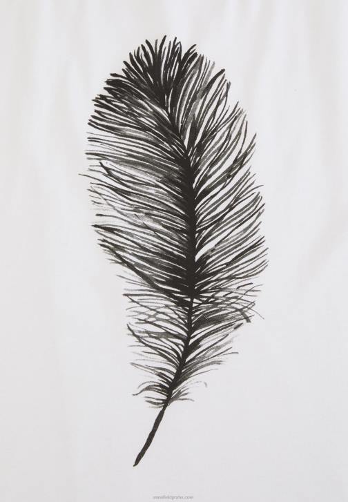 PN6V371 ženy Anna Field bílé tričko s potiskem