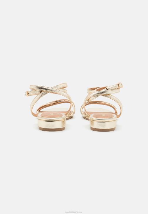 PN6V1247 ženy Anna Field sandály zlaté